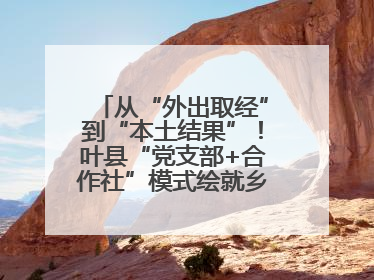 从“外出取经”到“本土结果”！叶县“党支部+合作社”模式绘就乡村振兴新图景