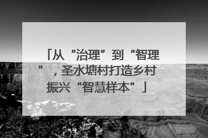 从“治理”到“智理”，圣水塘村打造乡村振兴“智慧样本”