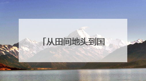 从田间地头到国际舞台！东昌葫芦闪耀深圳文博会