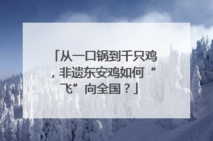 从一口锅到千只鸡，非遗东安鸡如何“飞”向全国？