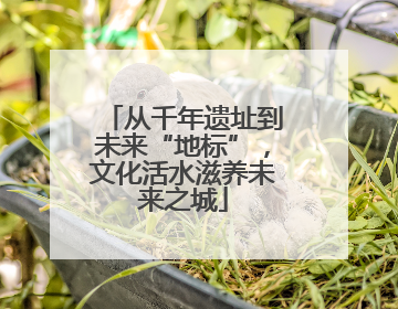 从千年遗址到未来“地标”，文化活水滋养未来之城