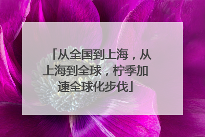 从全国到上海，从上海到全球，柠季加速全球化步伐