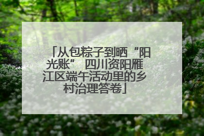 从包粽子到晒“阳光账” 四川资阳雁江区端午活动里的乡村治理答卷