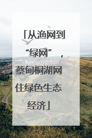 从渔网到“绿网”，蔡甸桐湖网住绿色生态经济
