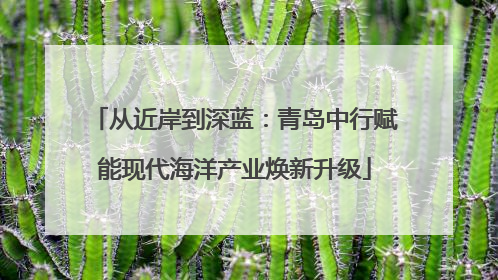 从近岸到深蓝：青岛中行赋能现代海洋产业焕新升级