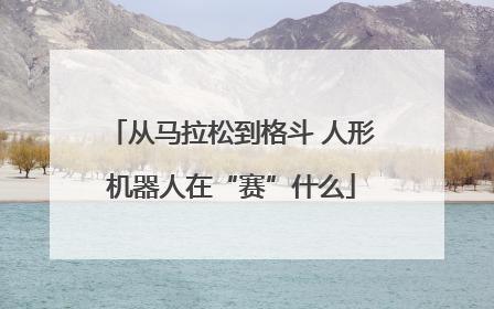从马拉松到格斗 人形机器人在“赛”什么
