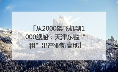 从2000架飞机到1000艘船：天津东疆“租”出产业新高地
