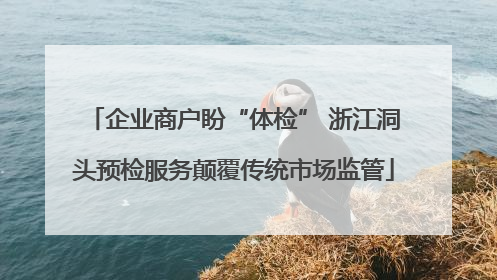 企业商户盼“体检” 浙江洞头预检服务颠覆传统市场监管