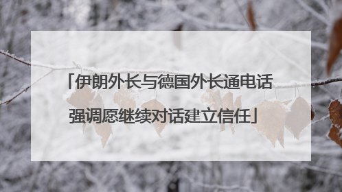 伊朗外长与德国外长通电话 强调愿继续对话建立信任