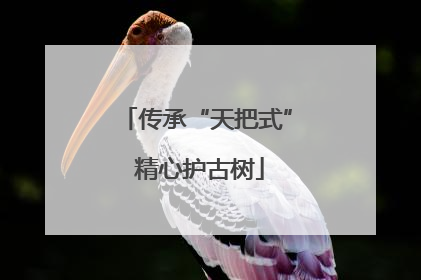 传承“天把式” 精心护古树