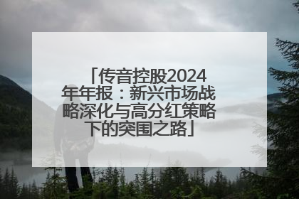 传音控股2024年年报：新兴市场战略深化与高分红策略下的突围之路