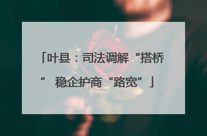 叶县：司法调解“搭桥” 稳企护商“路宽”