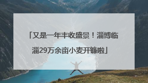 又是一年丰收盛景！淄博临淄29万余亩小麦开镰啦