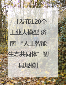 发布120个工业大模型 济南 “人工智能生态共同体”初具规模