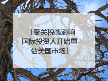 受关税战影响 国际投资人开始重估美国市场