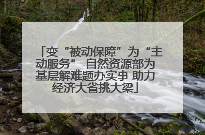 变“被动保障”为“主动服务” 自然资源部为基层解难题办实事 助力经济大省挑大梁