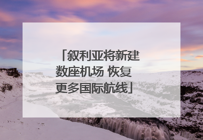 叙利亚将新建数座机场 恢复更多国际航线