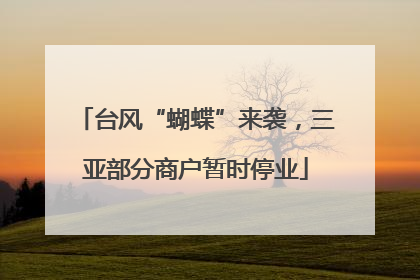 台风“蝴蝶”来袭，三亚部分商户暂时停业