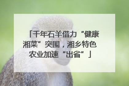 千年石羊借力“健康湘菜”突围，湘乡特色农业加速“出省”