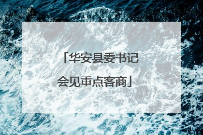 华安县委书记会见重点客商