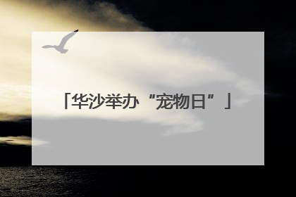 华沙举办“宠物日”