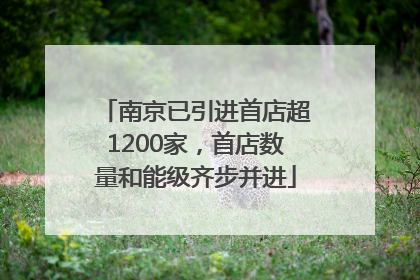 南京已引进首店超1200家，首店数量和能级齐步并进