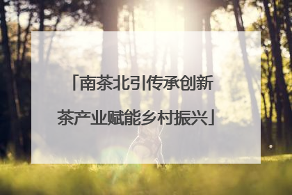南茶北引传承创新 茶产业赋能乡村振兴