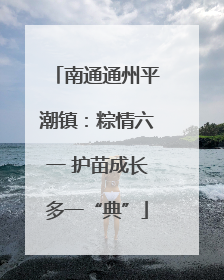 南通通州平潮镇：粽情六一 护苗成长多一“典”