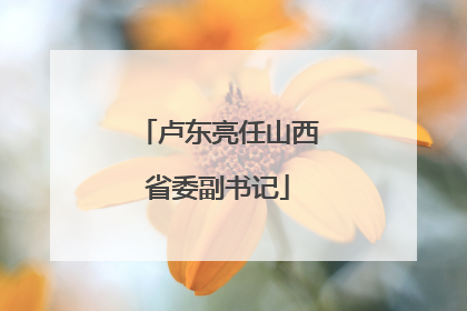 卢东亮任山西省委副书记