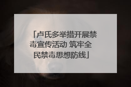 卢氏多举措开展禁毒宣传活动 筑牢全民禁毒思想防线
