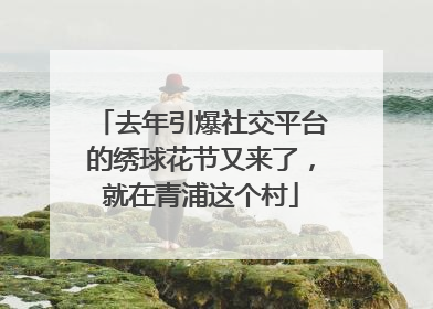 去年引爆社交平台的绣球花节又来了，就在青浦这个村