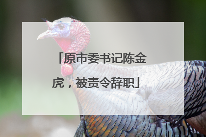 原市委书记陈金虎，被责令辞职