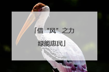借“风”之力 绿能惠民