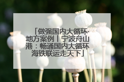 做强国内大循环·地方案例丨宁波舟山港：畅通国内大循环海铁联运走天下