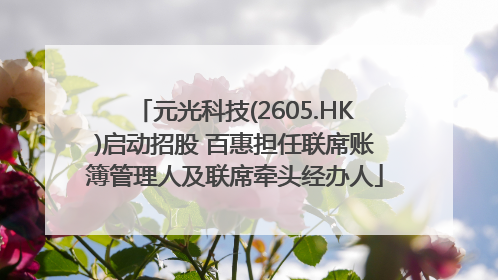 元光科技(2605.HK)启动招股 百惠担任联席账簿管理人及联席牵头经办人