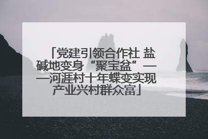 党建引领合作社 盐碱地变身“聚宝盆”——河涯村十年蝶变实现产业兴村群众富