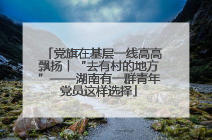 党旗在基层一线高高飘扬丨“去有村的地方”——湖南有一群青年党员这样选择
