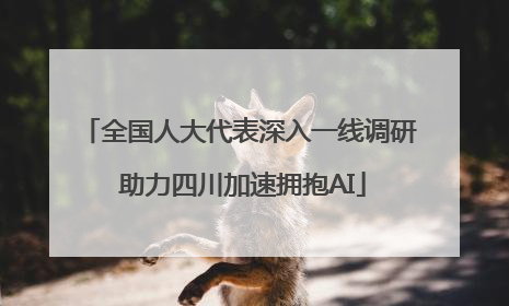 全国人大代表深入一线调研 助力四川加速拥抱AI