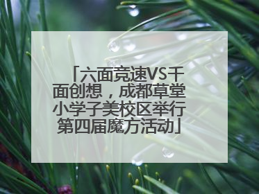 六面竞速VS千面创想，成都草堂小学子美校区举行第四届魔方活动