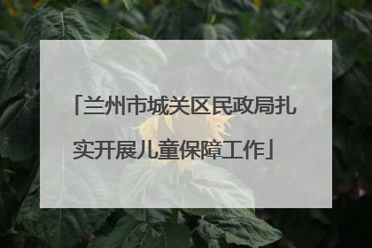 兰州市城关区民政局扎实开展儿童保障工作
