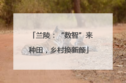 兰陵：“数智”来种田，乡村换新颜