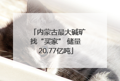 内蒙古最大碱矿找“买家” 储量20.77亿吨