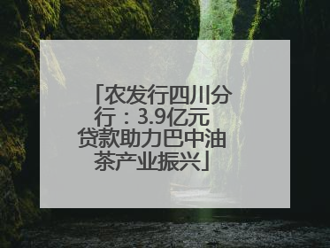 农发行四川分行：3.9亿元贷款助力巴中油茶产业振兴