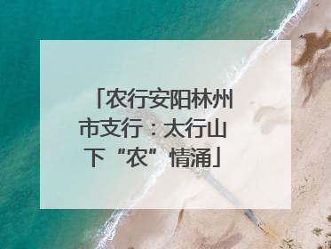 农行安阳林州市支行：太行山下“农”情涌