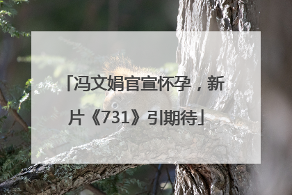 冯文娟官宣怀孕，新片《731》引期待