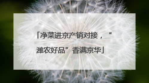 净菜进京产销对接，“潍农好品”香满京华