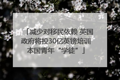 减少对移民依赖 英国政府将投30亿英镑培训本国青年“学徒”