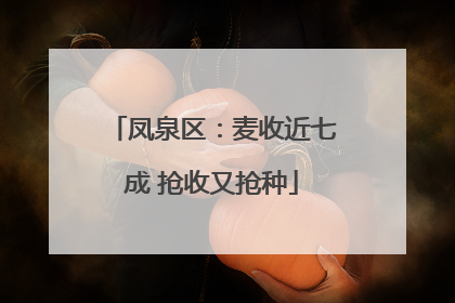 凤泉区：麦收近七成 抢收又抢种