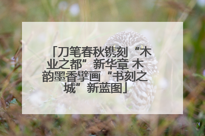 刀笔春秋镌刻“木业之都”新华章 木韵墨香擘画“书刻之城”新蓝图