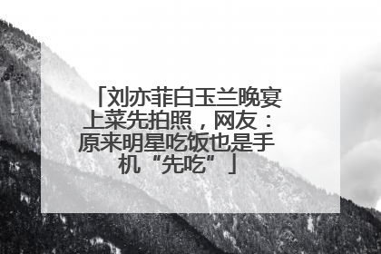 刘亦菲白玉兰晚宴上菜先拍照，网友：原来明星吃饭也是手机“先吃”